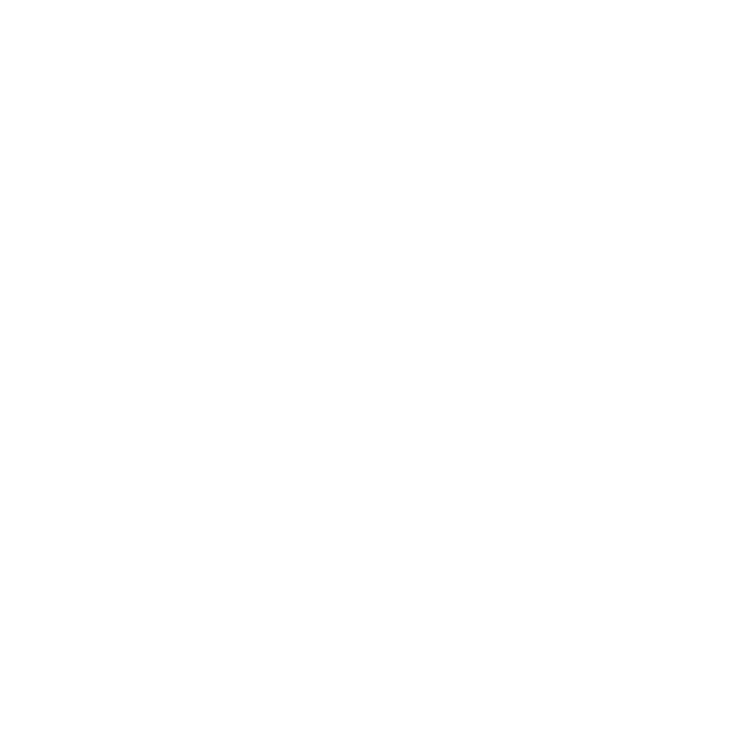Full Time Business